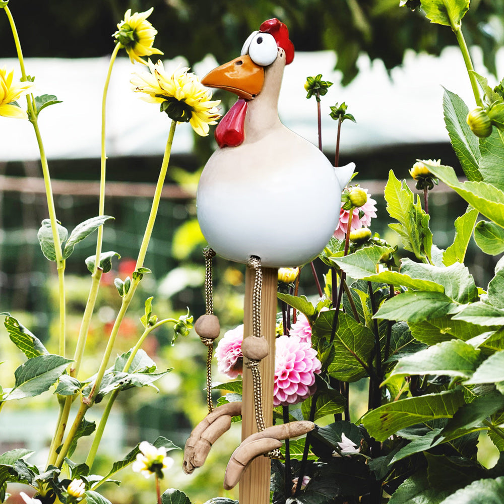 💖💖Funny Decorative Chicken, Eye-Catching Decoration!